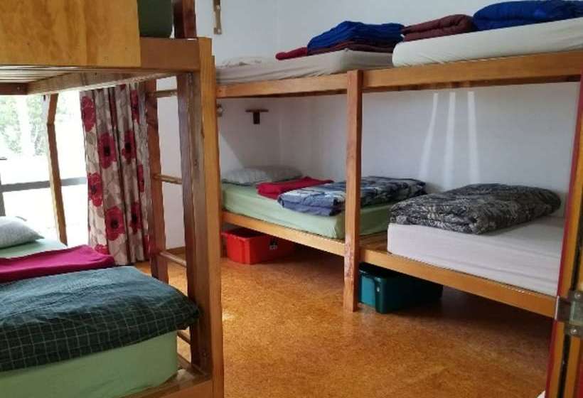 فندق صغير Bob & Maxine S Backpackers