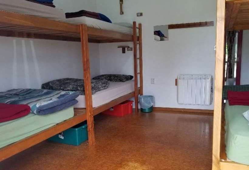 فندق صغير Bob & Maxine S Backpackers