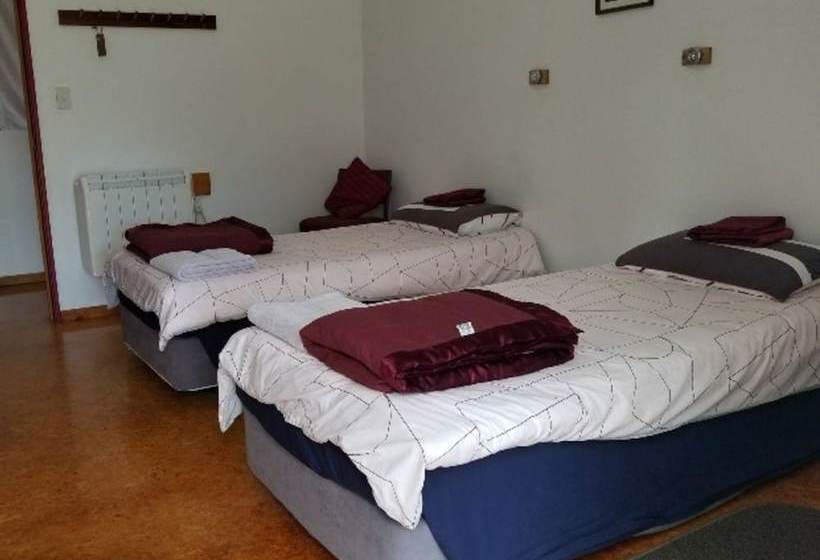 فندق صغير Bob & Maxine S Backpackers