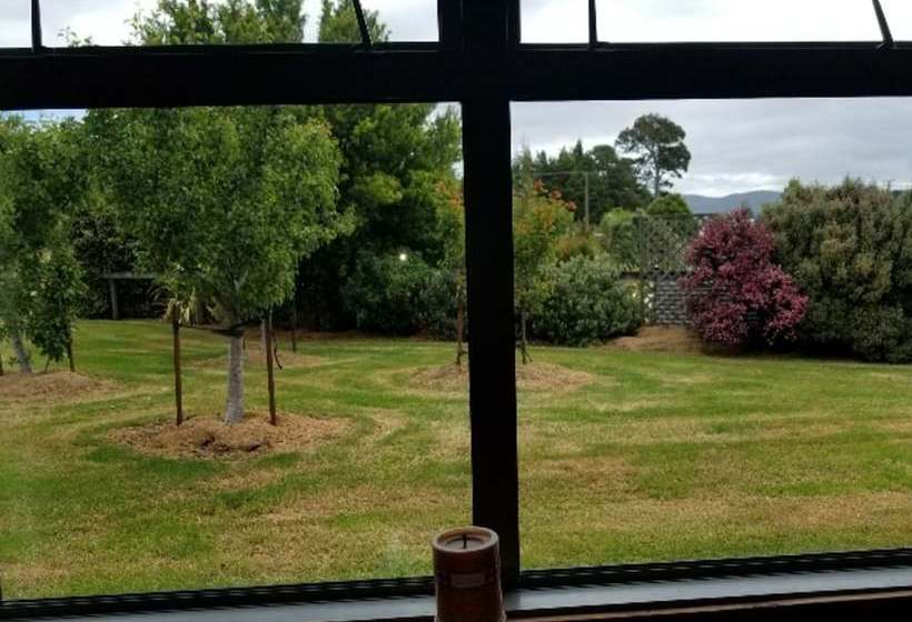 فندق صغير Bob & Maxine S Backpackers