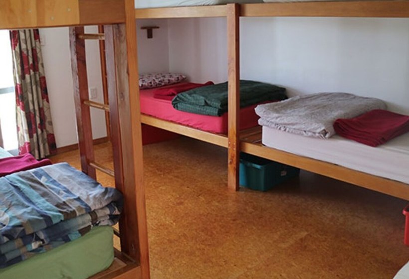 فندق صغير Bob & Maxine S Backpackers