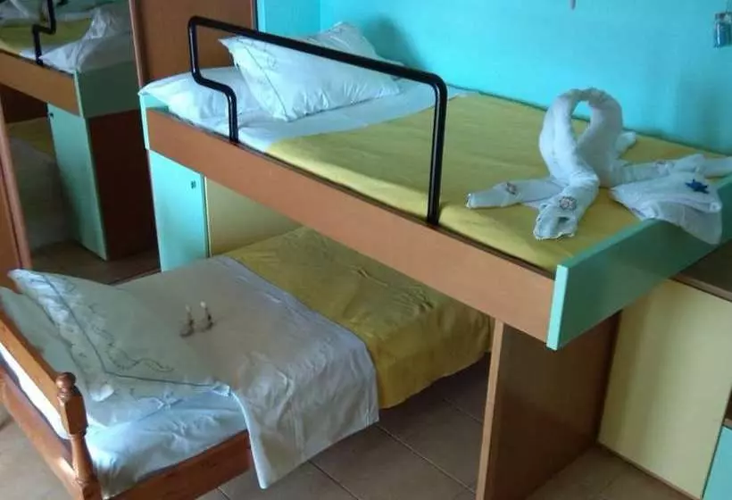Eva S Treasure Nea Flogita Halkidiki