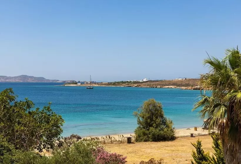 ペンション Omilos Beachfront House
