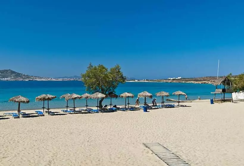 ペンション Omilos Beachfront House