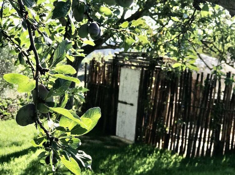 Private Boho Trullo Near Alberobello /locortotondo