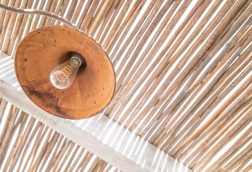 فندق Barahona Cartagena