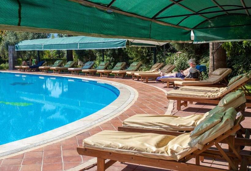 בית מלון כפרי Rebin Beach