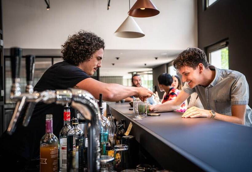 בית מלון כפרי City Pop 2night Basel