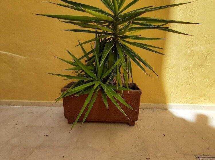 مبيت وإفطار Ai Carrettieri