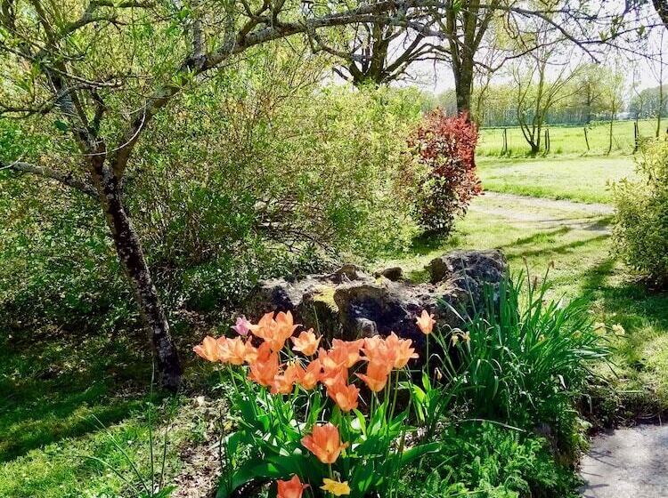 ペンション Villandry Domaine De L Augeonnière