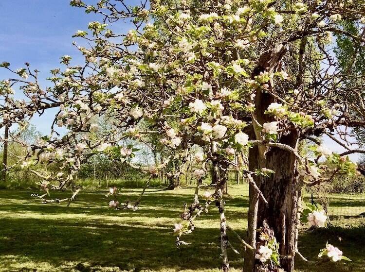 ペンション Villandry Domaine De L Augeonnière