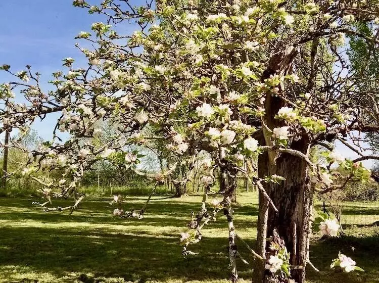 Majatalo Villandry  Domaine De L Augeonnière
