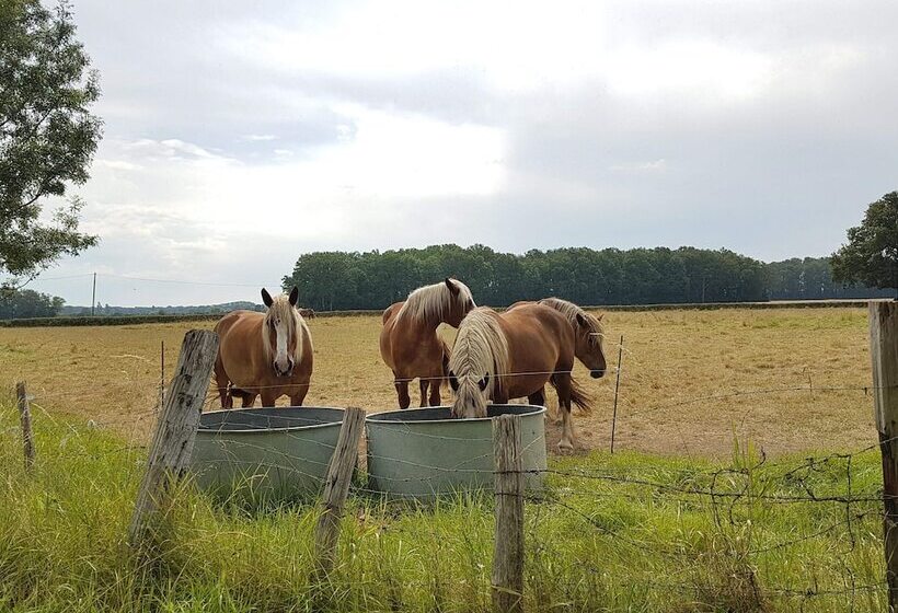 ペンション Villandry Domaine De L Augeonnière