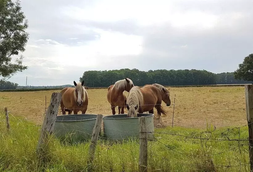 Majatalo Villandry  Domaine De L Augeonnière
