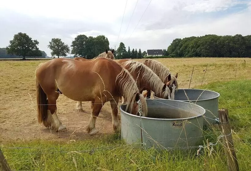 Majatalo Villandry  Domaine De L Augeonnière