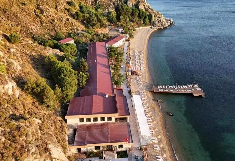 ホテル Avsa Beyazsaray