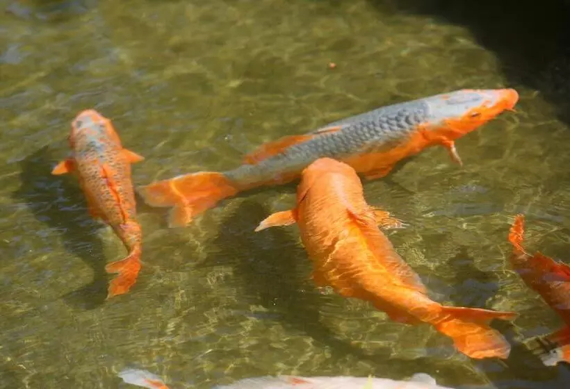 Ooedo Onsen Monogatari Hotel Shinko