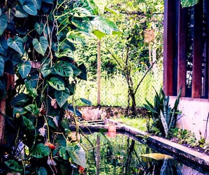 בית מלון כפרי Utuane