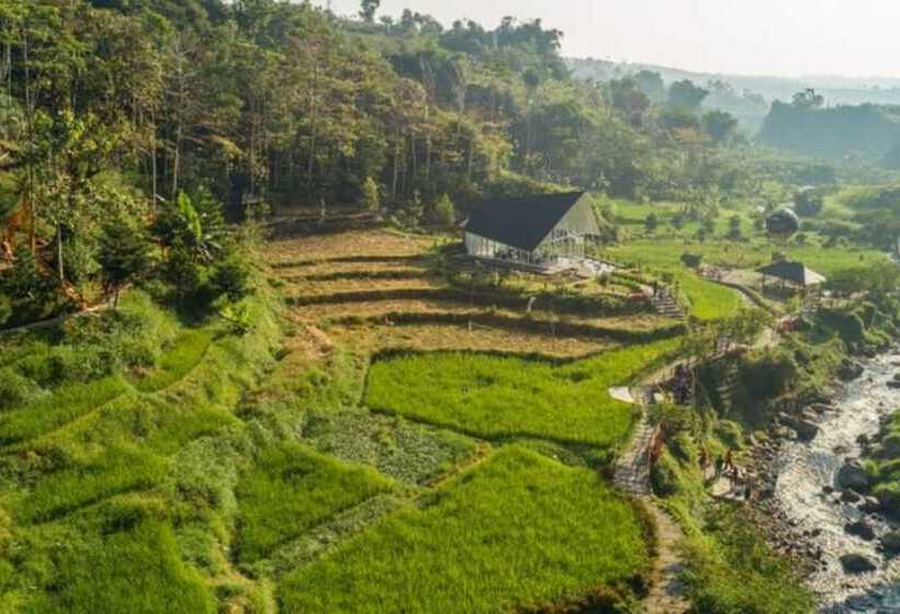 Pension Ijen Miner Guest House