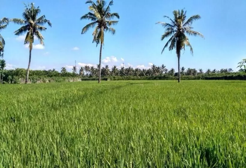 Majatalo Ijen Miner Guest House
