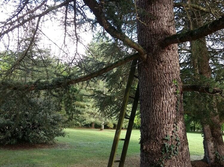 ペンション La Lezardière