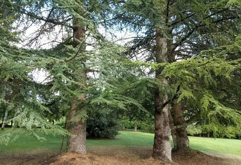 Majatalo La Lezardière