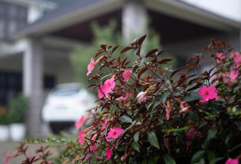 צימר Akim Homestay