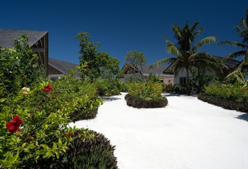 Cora Cora Maldives  Premium Allinclusive Resort