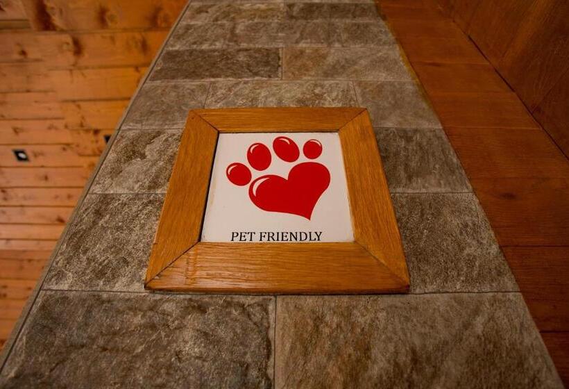 Foka Apartmani 30 M From Junior