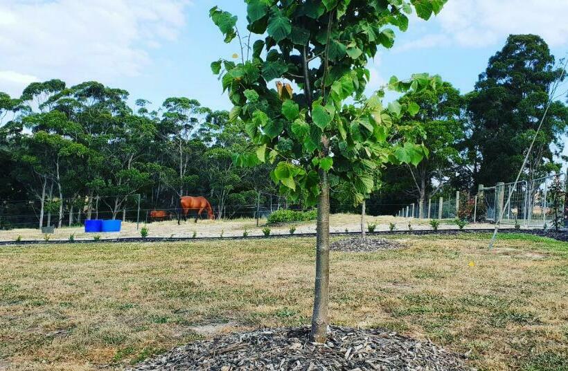 ホテル Lockleigh Park