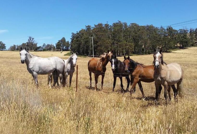 ホテル Lockleigh Park