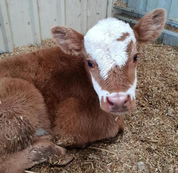 ホテル Lockleigh Park