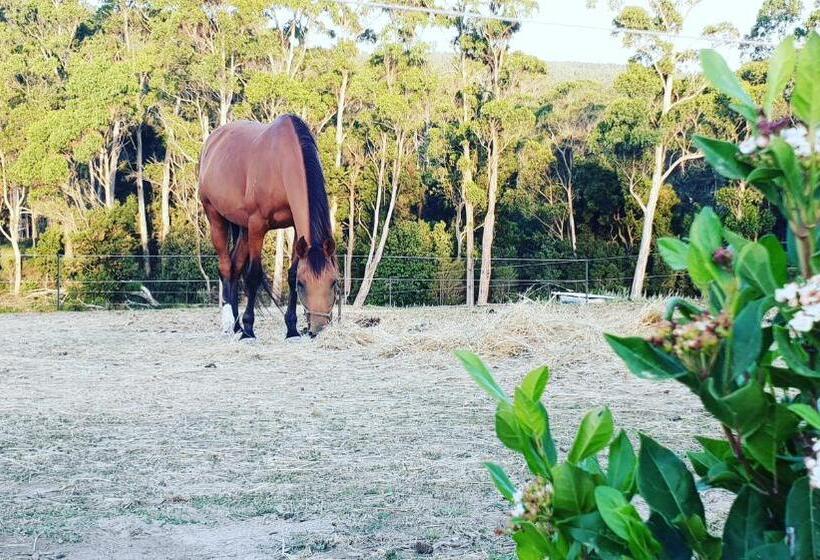 ホテル Lockleigh Park