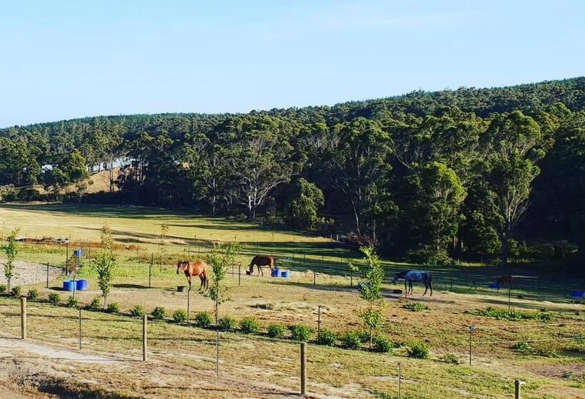 ホテル Lockleigh Park