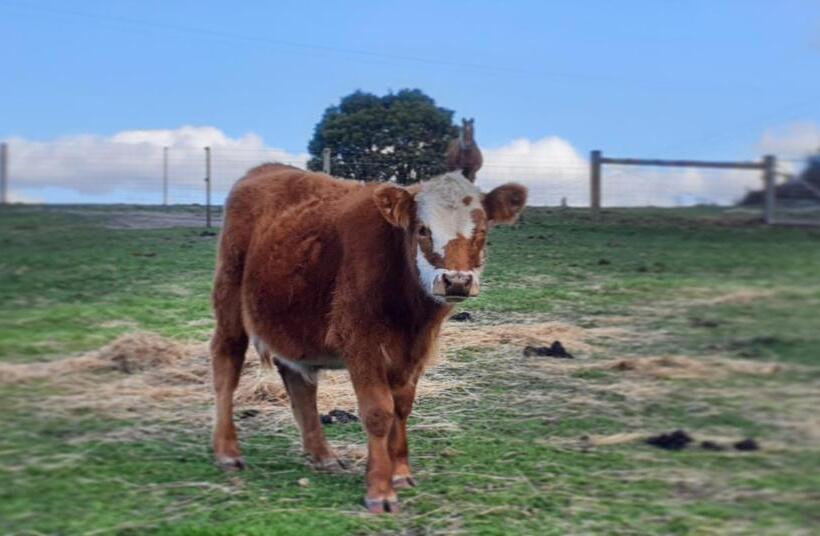 ホテル Lockleigh Park