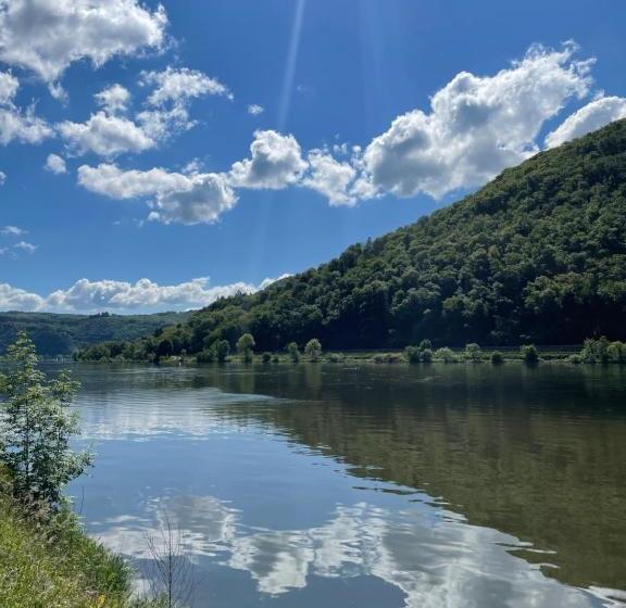 פנסיון Altes Weingut Bröhl