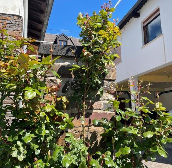 פנסיון Altes Weingut Bröhl