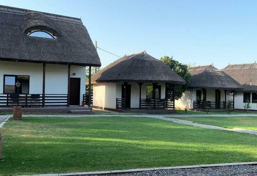 Pensione Casa Patru Anotimpuri