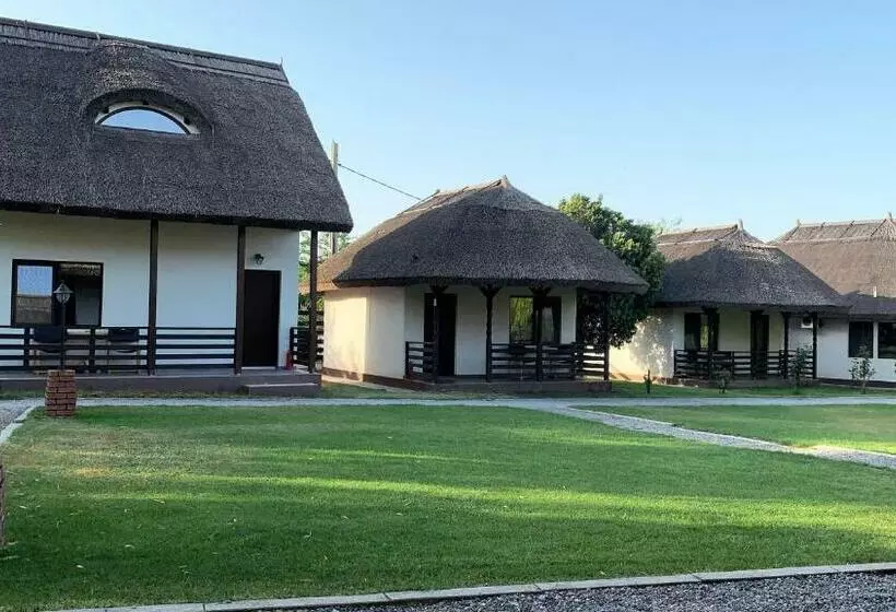 پانسیون Casa Patru Anotimpuri