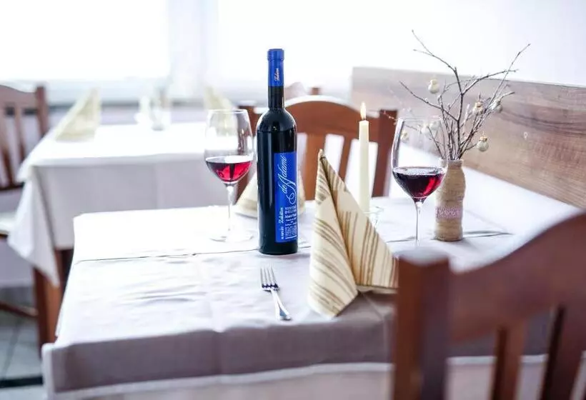 پانسیون Guest House Vila Moj Mir