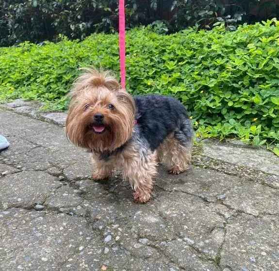 Hotelli Rancho Ecoturistico El Faro