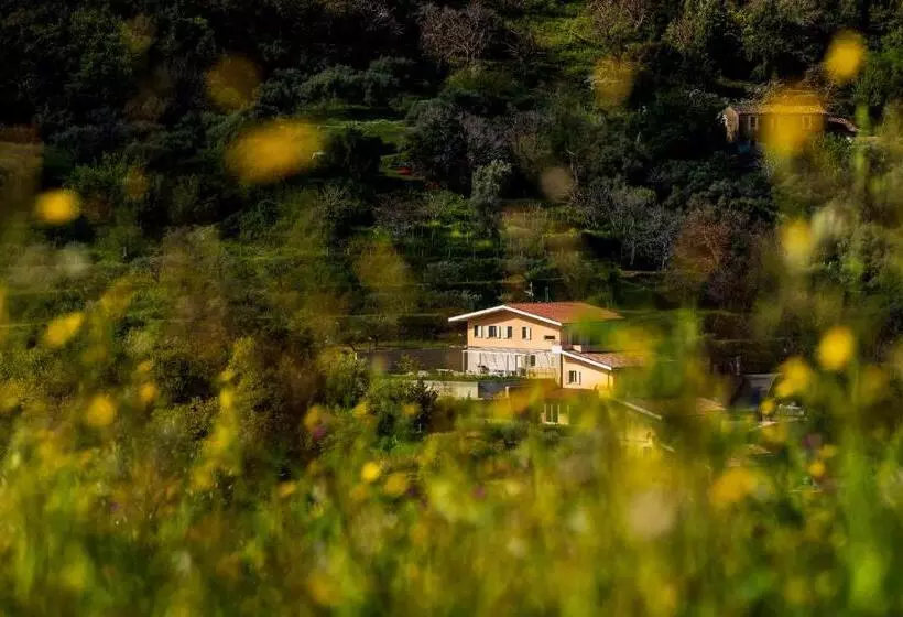 Residence Mersa