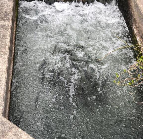 Herring Run Motel And Tiny Cabins