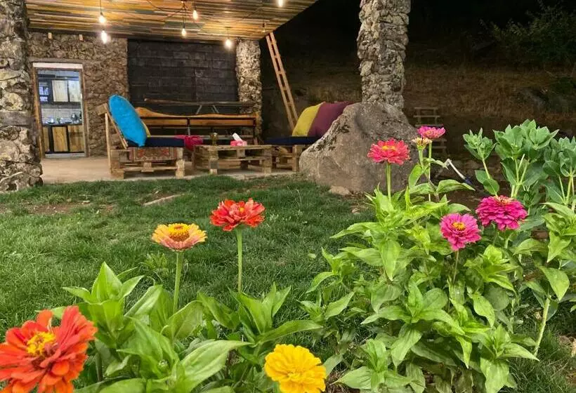 هتل Elegis Village Resort