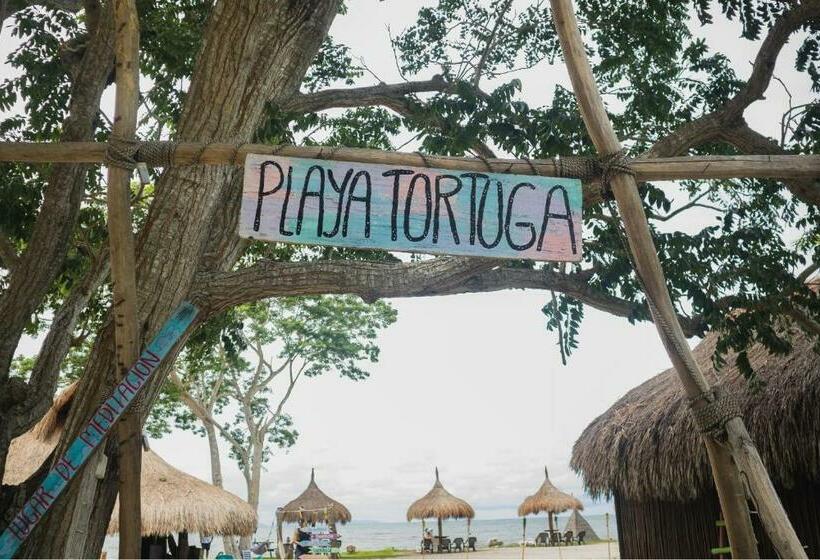ペンション Playa Tortuga Barú