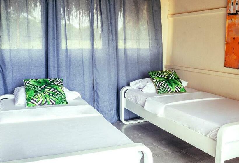 ペンション Playa Tortuga Barú