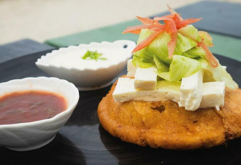 ペンション Playa Tortuga Barú