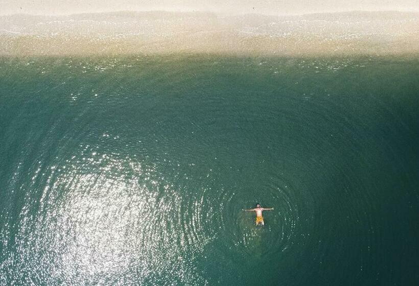 ペンション Playa Tortuga Barú