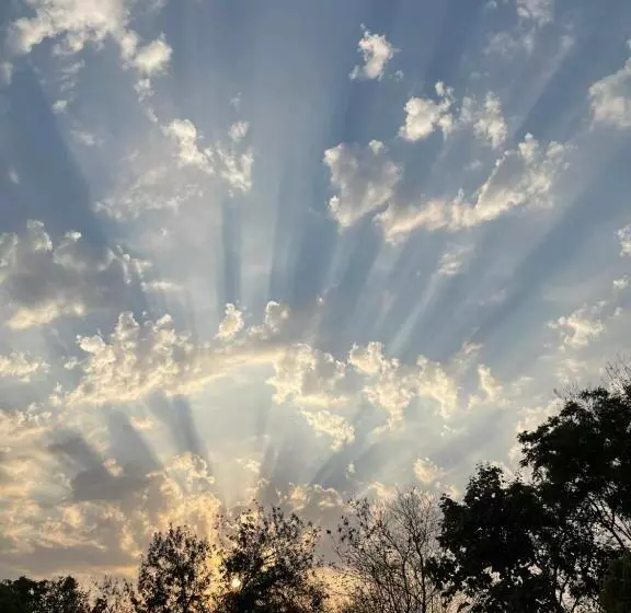 リゾートホテル The Postcard Gir Wildlife Sanctuary