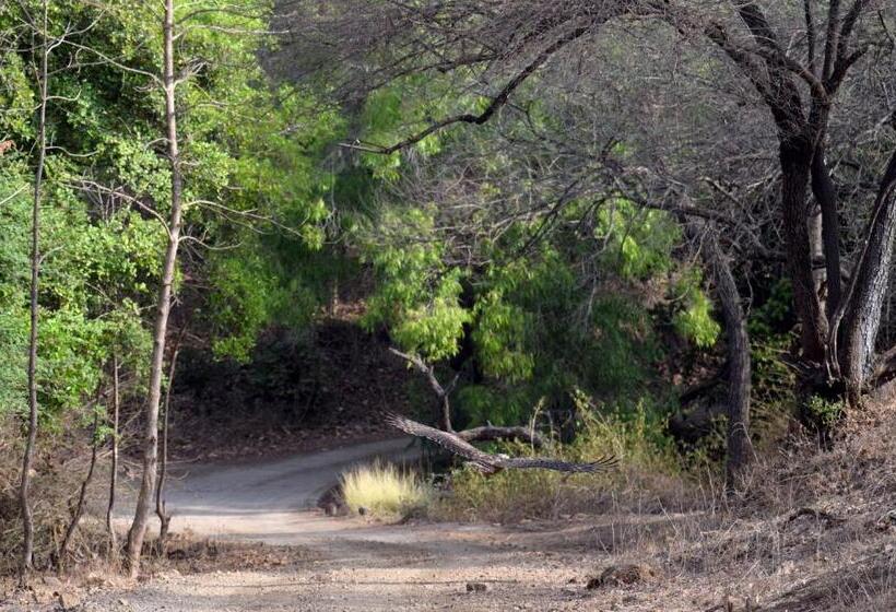 منتجع The Postcard Gir Wildlife Sanctuary